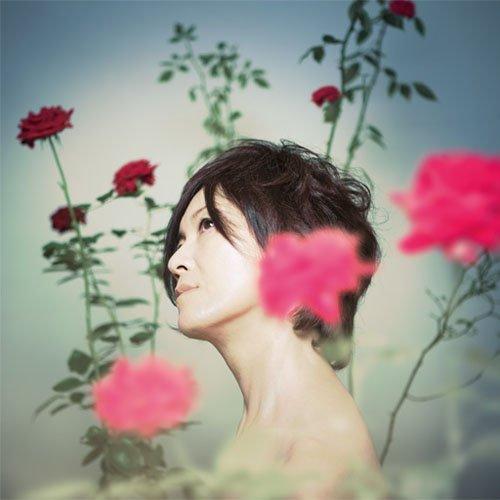 CD/篠原美也子/花の名前