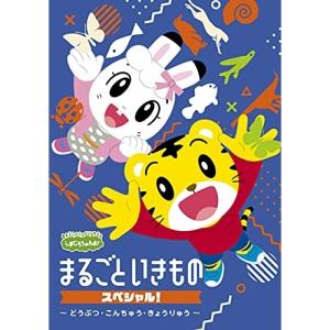 廃盤 ハルカミライ DVD ONE MAN LIVE 渋谷CLUB QUATTRO 会場限定