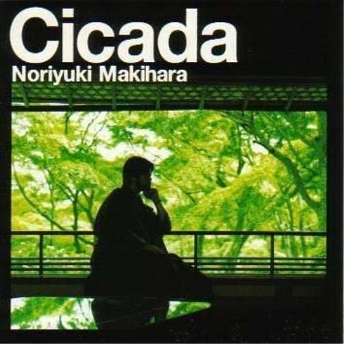 CD/槇原敬之/Cicada(通常盤)【Pアップ