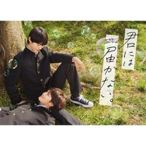 DVD/国内TVドラマ/アンサンブル DVD-BOX (本編ディスク5枚+特典