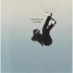 CD/a flood of circle/IM ...の商品画像