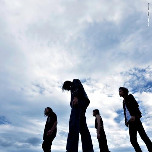 CD/a flood of circle/WILD BUNNY BLUES / 野うさぎのブルース ...