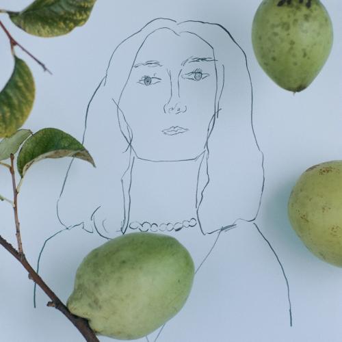 CD/原田知世/カリン (SHM-CD) (歌詞付) (通常盤)