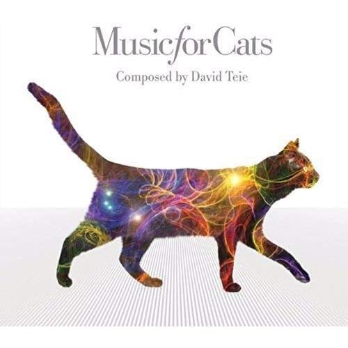 CD/デヴィッド・タイ/ねこのための音楽 〜 Music For Cats (SHM-CD) (解説...