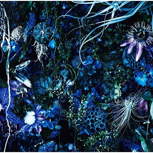 CD/SUGIZO/ONENESS M (SHM-CD) (通常盤)【Pアップ