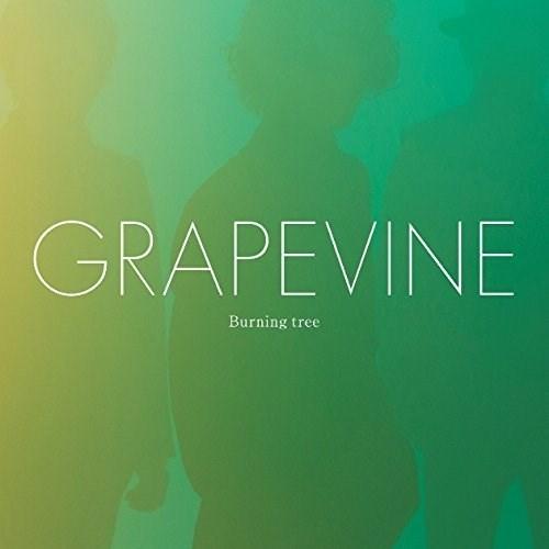 CD/GRAPEVINE/Burning tree (歌詞付) (通常盤)