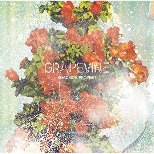CD/GRAPEVINE/ROADSIDE PROPHET (通常盤)【Pアップ