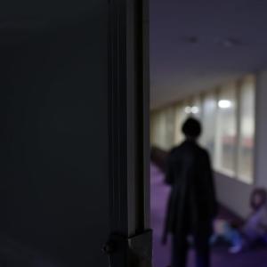 ▼CD/LAUSBUB/society | lazy｜surpriseflower