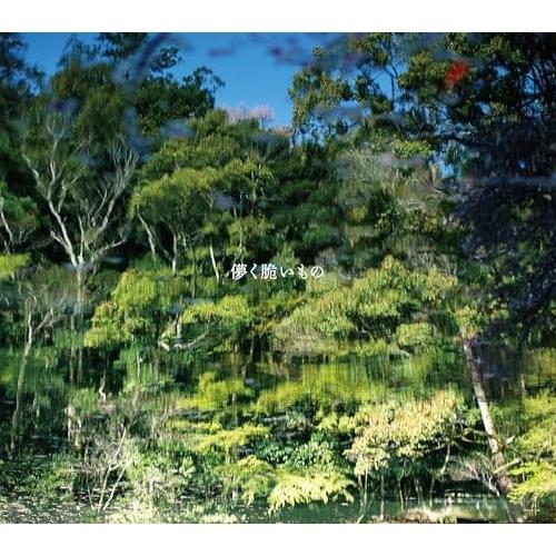 CD/藤巻亮太/儚く脆いもの (CD+DVD) (歌詞付) (初回限定盤)