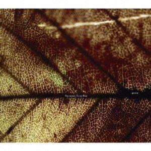 花冷え。 乙女改革 HANABIE GIRL'S REFORM MANIFEST CD : スターアップ