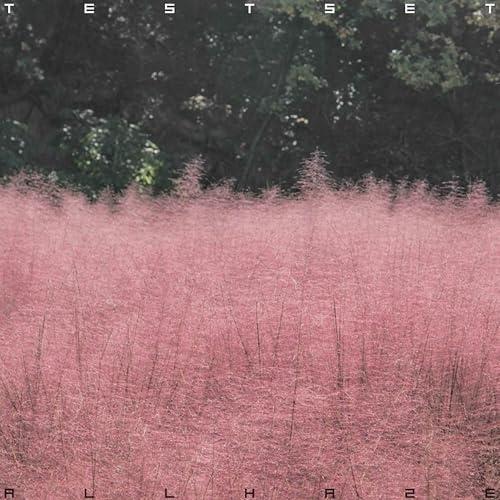 CD/TESTSET/ALL HAZE (紙ジャケット)