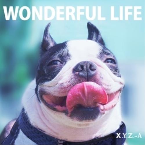 CD/X.Y.Z.→A/WONDERFUL LIFE (通常盤)【Pアップ