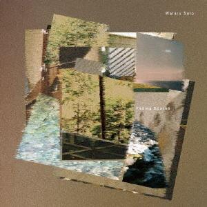 【取寄商品】CD/Wataru Sato/Fading Spaces (CD+DVD) (紙ジャケッ...