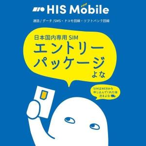 HIS Mobile/HISモバイル国内専用SIMエントリーパッケージ(HM-DSE-P)