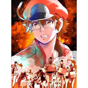 TVアニメ はたらく細胞!! 全巻 1-4 DVD セット : 脳トレ生活 - 通販