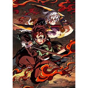 鬼滅の刃 テレビシリーズ 1〜11（全巻）セット 完全生産限定版 [DVD