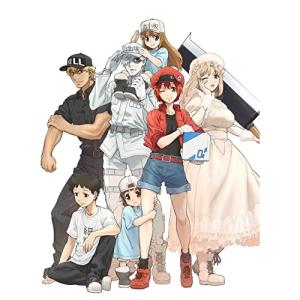 TVアニメ はたらく細胞!! 全巻 1-4 DVD セット : 脳トレ生活 - 通販