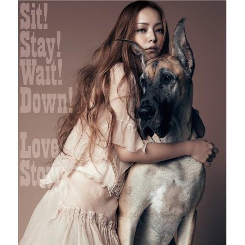 CD/安室奈美恵/Sit! Stay! Wait! Down!/Love Story