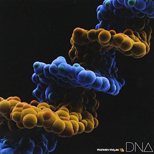 CD/MONKEY MAJIK/DNA (CD+DVD)【Pアップ