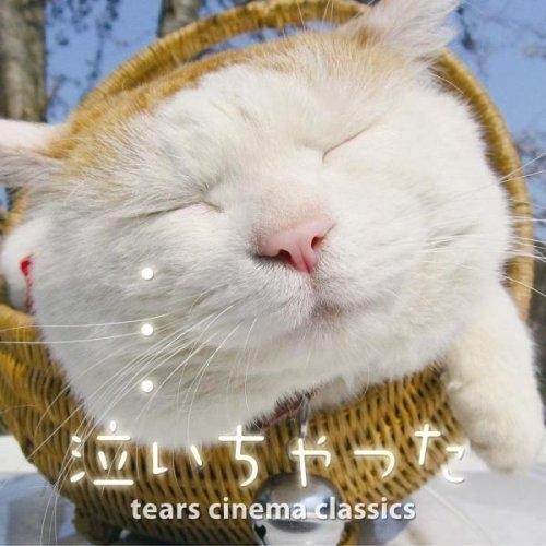 CD/クラシック/泣いちゃった