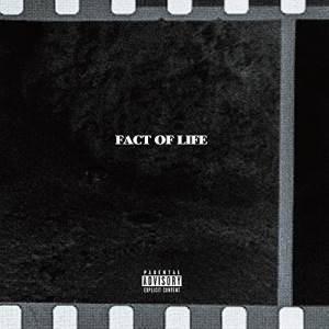 CD/BCDMG/Fact Of Life【Pアップ