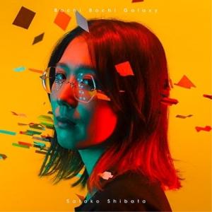 柴田聡子　いじわる全集　LP レコード Amazon.co.jp: いじわる全集~通常盤: ミュージック