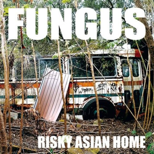 CD/FUNGUS/RISKY ASIAN HOME