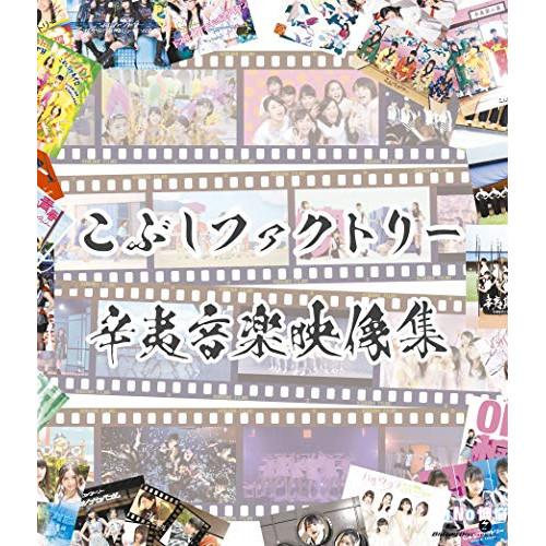 BD/こぶしファクトリー/辛夷音楽映像集(Blu-ray)【Pアップ