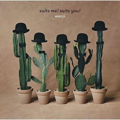 CD/wacci/suits me! suits you! (通常盤)【Pアップ