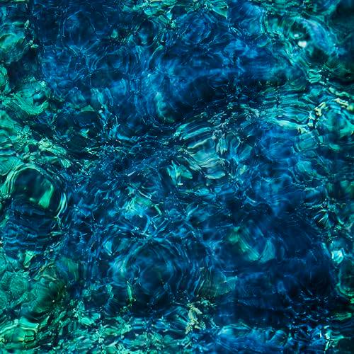 【取寄商品】CD/ICHIKO AOBA/Luminescent Creatures (紙ジャケット...
