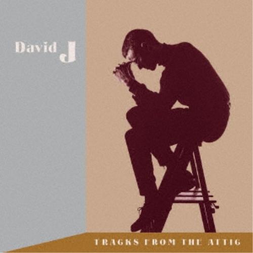 【取寄商品】CD/DAVID J/TRACKS FROM THE ATTIC