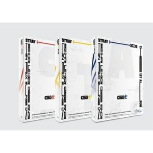 Stray Kids OFFICIAL LIGHT STICK ver.2 / SKZ 公式ペンライトver.2