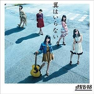 CD/AKB48/翼はいらない (CD+DVD) (通常盤/Type A)