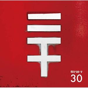 CD/電気グルーヴ/30