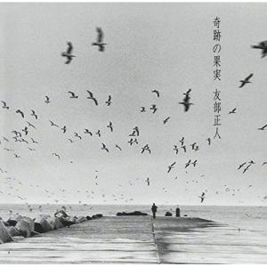 CD/友部正人/奇跡の果実