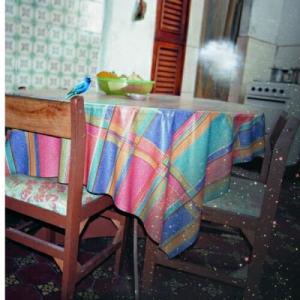 TRIPLANE アイコトバ (初回限定盤)