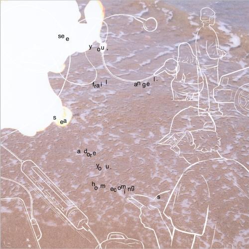 CD/Homecomings/see you, frail angel. sea adore you...
