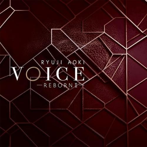 【取寄商品】CD/青木隆治/VOICE-REBORN II-