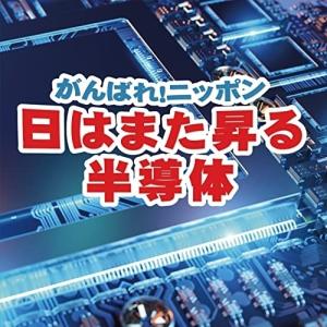 CD/林和夫とゆかいな仲間たち/がんばれ!ニッポン日はまた昇る半導体｜surpriseweb