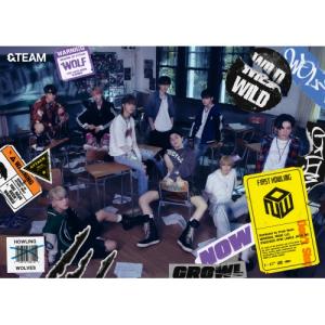 &TEAM We on Fire(通常盤) CD ※特典あり : タワーレコード Yahoo!店
