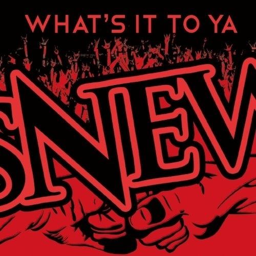 CD/スニュー/ホワッツ・イット・トゥ・ヤー (解説歌詞付)【Pアップ