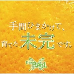 【取寄商品】CD/the Raid./未完 (CD+DVD) (通常盤/A-type)