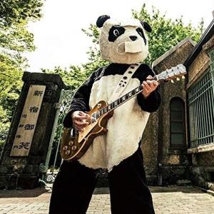 CD/ギターパンダ/ギターパンダのロックンロールパンデミック