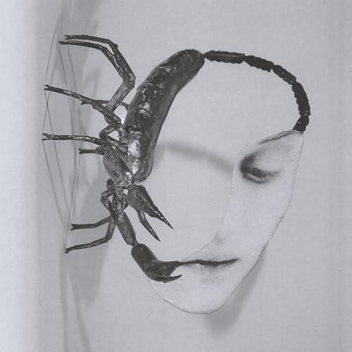 【取寄商品】CD/Tortoise/Touch (ライナーノーツ)