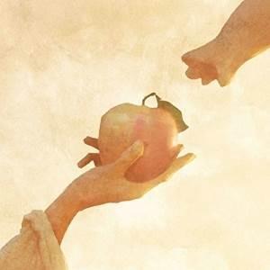 CD/大橋トリオ/りんごの木/宇宙からやってきたにゃんぼー (CD+DVD)【Pアップ