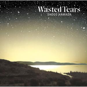 浜田省吾 / Wasted Tears ウェイステッド・ティアーズ 1989.09.01