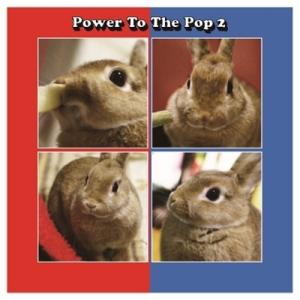 CD/オムニバス/Power To The Pop 2 (Blu-specCD2) (解説歌詞対訳付/ライナーノーツ)