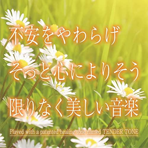 【取寄商品】CD/神山純一J.Project/不安をやわらげ そっと心によりそう限りなく美しい音楽