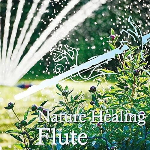 【取寄商品】CD/武田和大/Nature Healing Flute カフェで静かに聴くフルートと自...