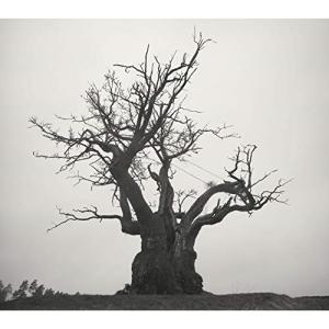 Sekai no owari 世界の終わり 黒EARTH CD : EastRiverrr-shop - 通販